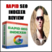 Rapid SEO Indexer Review – Indexed In Google In 30 Seconds?